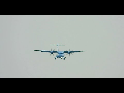 ゴーアラ！みぞか号！C3-PO！むすび丸、楽天号！スタアラ！伊丹空港！Plane Spotting  Live!!  Osaka International Airport   11/28/2024