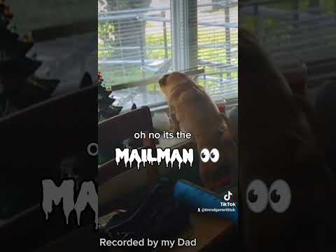 #fyp #funnyvideo #mailman  #dogsoftiktok #doglover