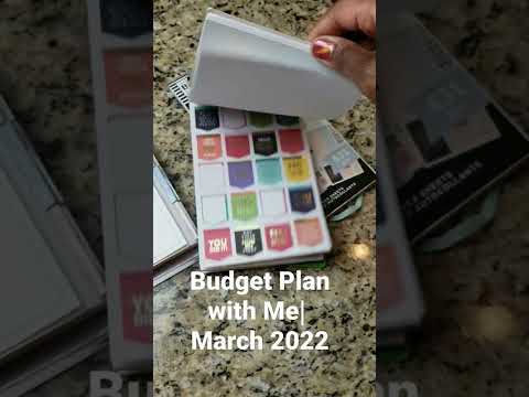 Budget Plan with Me| Erin Condren LifePlanner and Happy Planner Stickers