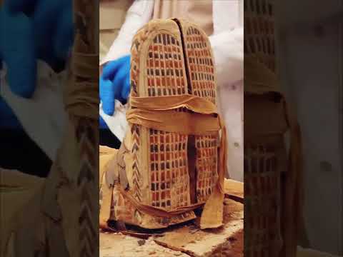 Mummy Tomb Opened for the First Time in 2,500 Years 😱#shorts#short#shortvideo