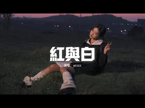 ycccc - 紅與白『在春天的時候緬懷過去季節，雨滴答應了這次離別，什麼人最後醉在什麼街。』【動態歌詞MV】