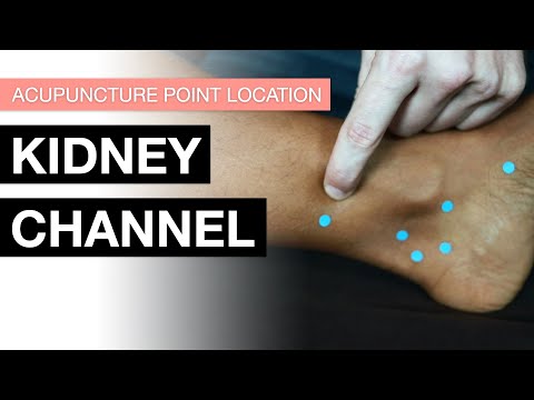 Acupuncture Point Location: The Kidney Channel (Kidney Meridian Acupuncture Points)