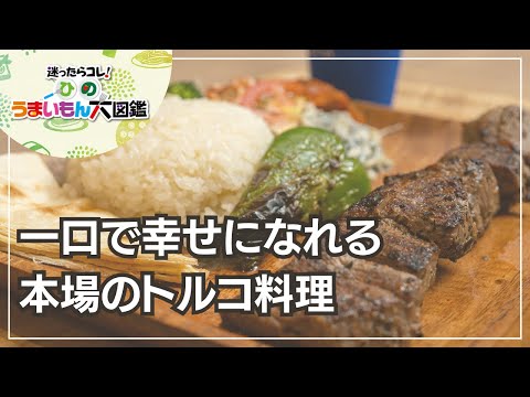 TAT KEBAB　～ひのうまいもん大図鑑2024～　日野市のトルコ料理