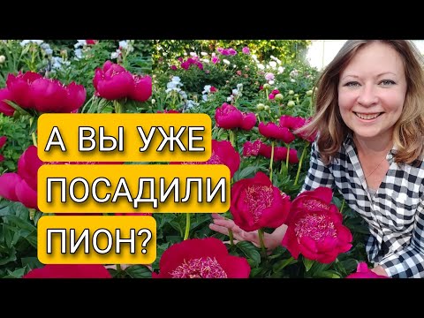 НЕ САЖАЙТЕ ПИОН, ПОКА НЕ ПОСМОТРИТЕ ЭТО ВИДЕО! | Светлана Самойлова