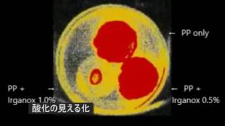 サポインマッチナビ東北　東北電子産業（株）