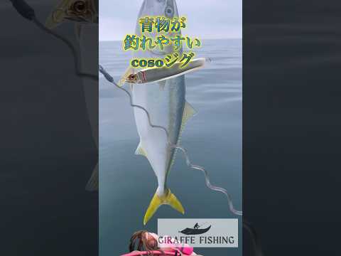 青物が釣れやすいcosoジグ#青物#カヤックフィッシング#fish#fishing