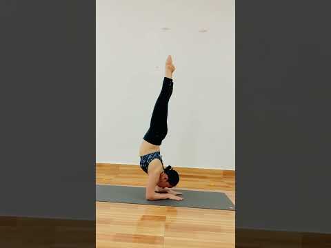 Advance yoga  / scorpion pose  / Balance yoga  / #yogi #yoga #yogapractice #yogyakarta  #yogalife