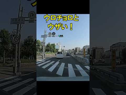 【ドラレコ】ク〇なＶＯＸＹ！急ブレーキ掛けるなよ！