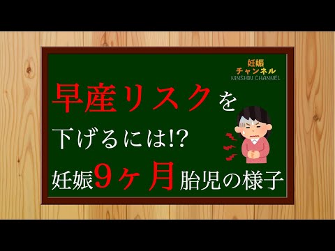 【妊娠9ヶ月】早産リスクを下げよう💪✨妊娠9ヶ月胎児の様子