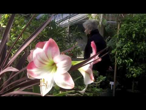 Marynana visits Soo Green Houses