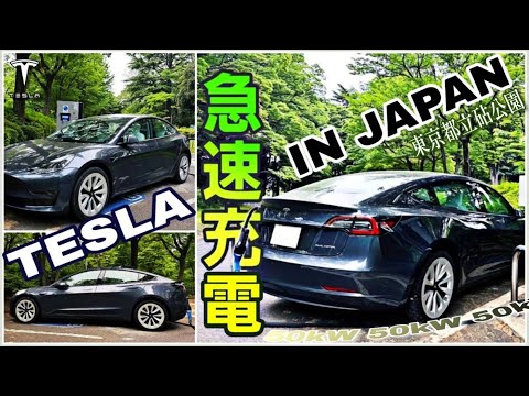 Teslaモデル3で行く| EV充電スポット#66 | 東京都立砧公園【CHAdeMO急速50kW】