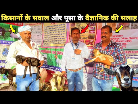 बकरी पालन के वैज्ञानिक ने किसानों को बकरी पालन का राज बताया | Goat farming