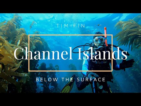 SCUBA DIVING THE CHANNEL ISLANDS