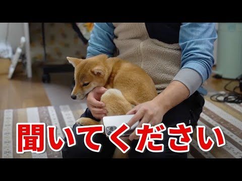 その瞬間はいきなりやってくる！長年のモヤモヤが解けるアプリ　Thank you Google!