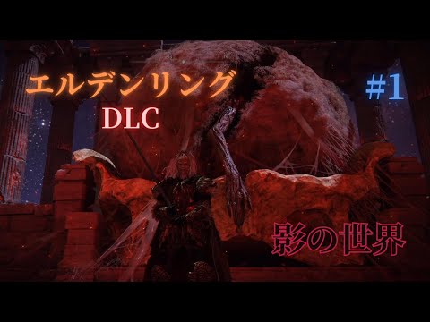 DLCに踏み込んでイクゥ！！【エルデンリングDLC】