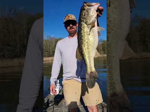 CATCHING GIANT BASS ON SANTEE COOPER / MARCH 2024 #bassfishing #fishing #outdoors #मछुआ