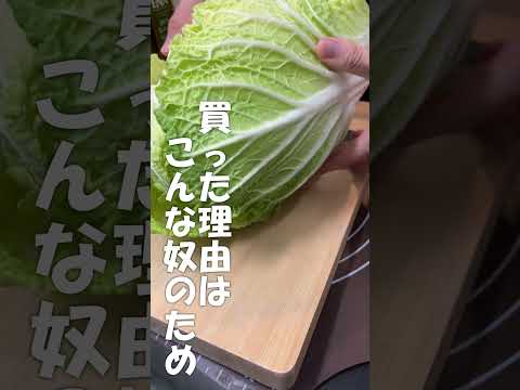 刃渡りがいかつい牛刀のご紹介！