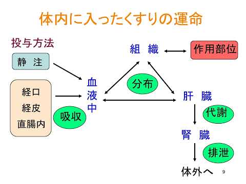 【薬学部】模擬講義 臨床薬効解析学（伊藤 邦彦先生）/ 静岡県立大学