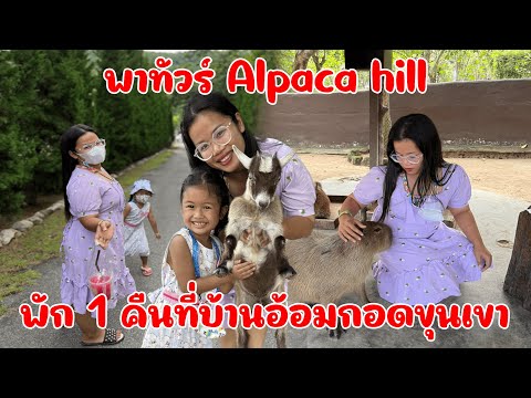 เที่ยวสวนผึ้ง EP.2 | พาทัวร์ Alpaca Hill กับบ้านพักสุดฟินที่ บ้านอ้อมกอดขุนเขา | อยากเที่ยวก็เที่ยว