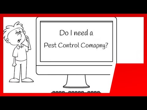 Can I Do My Own Pest Control or Do I Need a Pest Control Company?