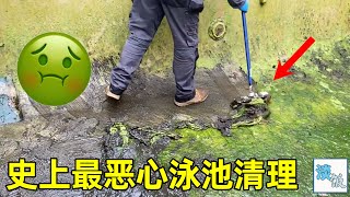 清洗废弃泳池：墙面全是苔藓还有长腿的鱼，清洗过程看得极度解压 | 淡饭电影