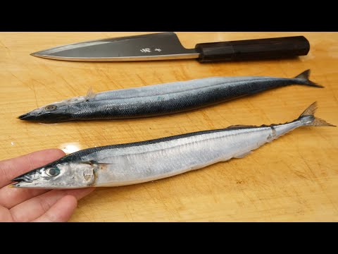 秋刀魚（サンマ）のさばき方と「なめろう」の作り方