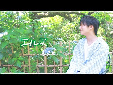 ✿. エルマ (ヨルシカ)  -Acoustic Arrange- ／ おおしま  (cover)