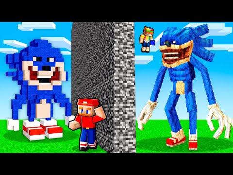 I Cheated With //SHIN SONIC In A Minecraft Build Battle!