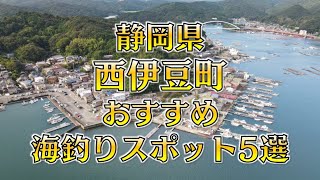 静岡県『西伊豆町』のおすすめ海釣りスポット5選