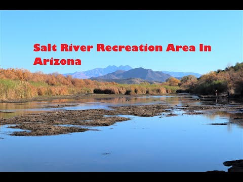 Salt River Recreation Area in Arizona