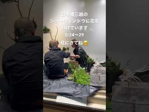 ショーウィンドウに花をいける｜Making Ikebana in a shop window