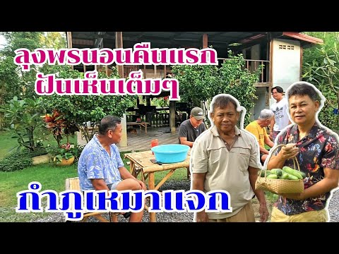 ลุงพรนอนคืนแรกฝันเห็น 3 ตัว กำภูวิ่งหามาแจก? #บ้านสวนกำภูEp1155