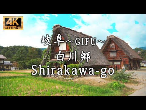 "Walking Through Shirakawa-go: Exploring the Beauty of Rural Landscapes"