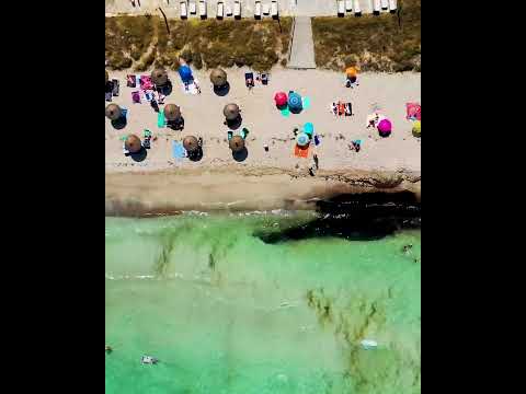 Playa de Muro 🌴 #mallorca #majorca #malle #beach #alcudia #canpicafort