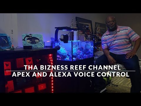 Apex and Alexa Voice Control Quick Look! Check it out!