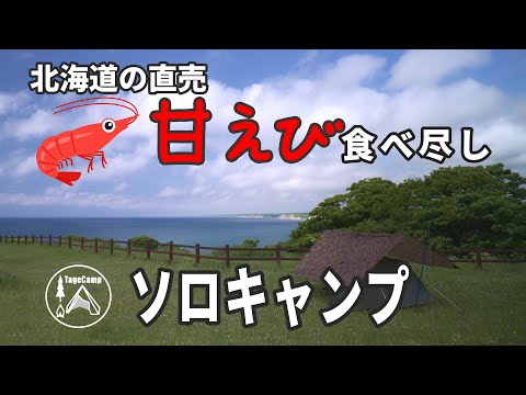 【ソロキャンプ】絶景の無料キャンプ場で甘エビ食い尽くしソロキャンプ！【北海道キャンプ】