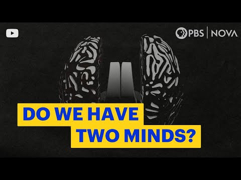 Does the Human Brain Actually Have Two Minds? NOVA | PBS