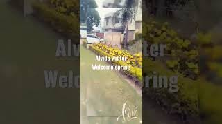 #welcomespring #byebyewinter #whatsapp_status #youtubeshorts #shorts #flowers #yellowflowers #viral