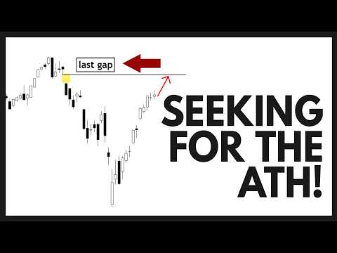 Technical Analysis of Stocks: NVDA / AMD / TSLA / SPY / QQQ / PLTR