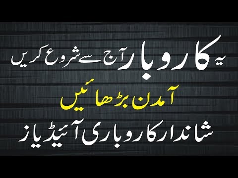 Small Business Ideas in Pakistan in Urdu hindi | business ideas small investment | DIY Buiness Plan