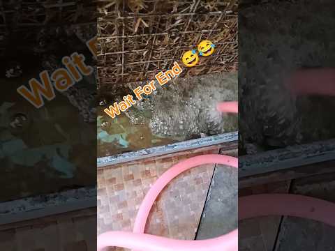 How To Fill Water in Coller😂 #coller #garmi ##funny #comedy #viral #no1trending #fun #masti #yt