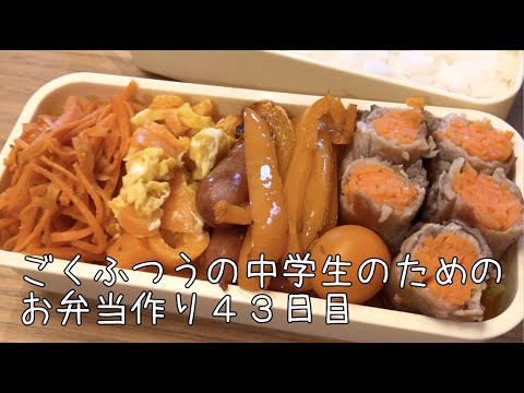 43日目♫ごく普通の中学生のためのお弁当づくり♫オレンジ弁当