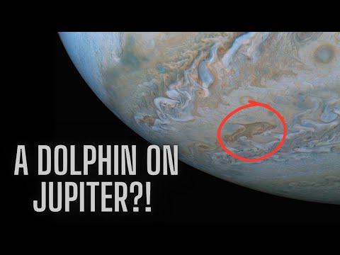 A Dolphin on Jupiter? Juno’s Stunning Discovery Will Blow Your Mind!