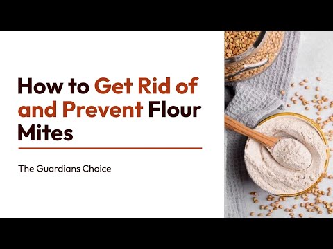 Flour Mite Menace? How to Get Rid of and Prevent These Pantry Pests | The Guardian's Choice