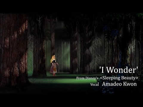 'I Wonder' Sleeping Beauty - Male Cover