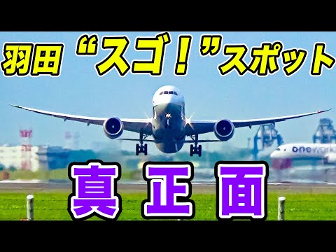 【ド迫力！】飛行機が正面切って飛んでくる！！羽田空港B滑走路を望む、ソラムナード羽田緑地は神スポットです！