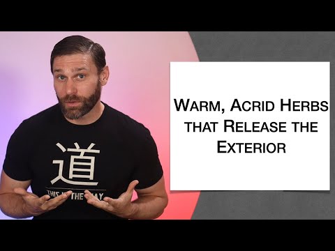 🌿 Herbology 1 Review - Warm Acrid Herbs that Release the Exterior (Extended Live Lecture)