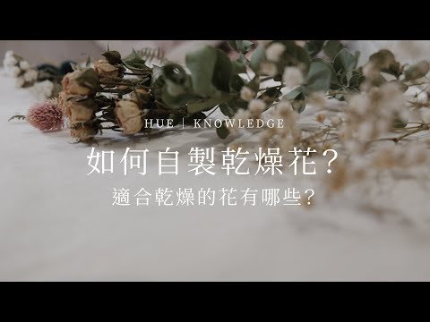 超簡易自製乾燥花方法！挑選適合花材一起動手做吧｜HUE 花藝知識