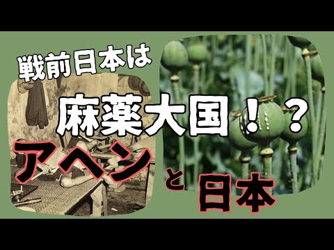 「日本とアヘン」満州のケシ栽培と中毒患者