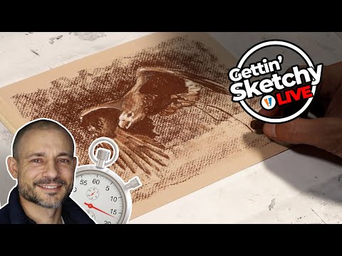 How to Draw a Hawk - Gettin' Sketchy